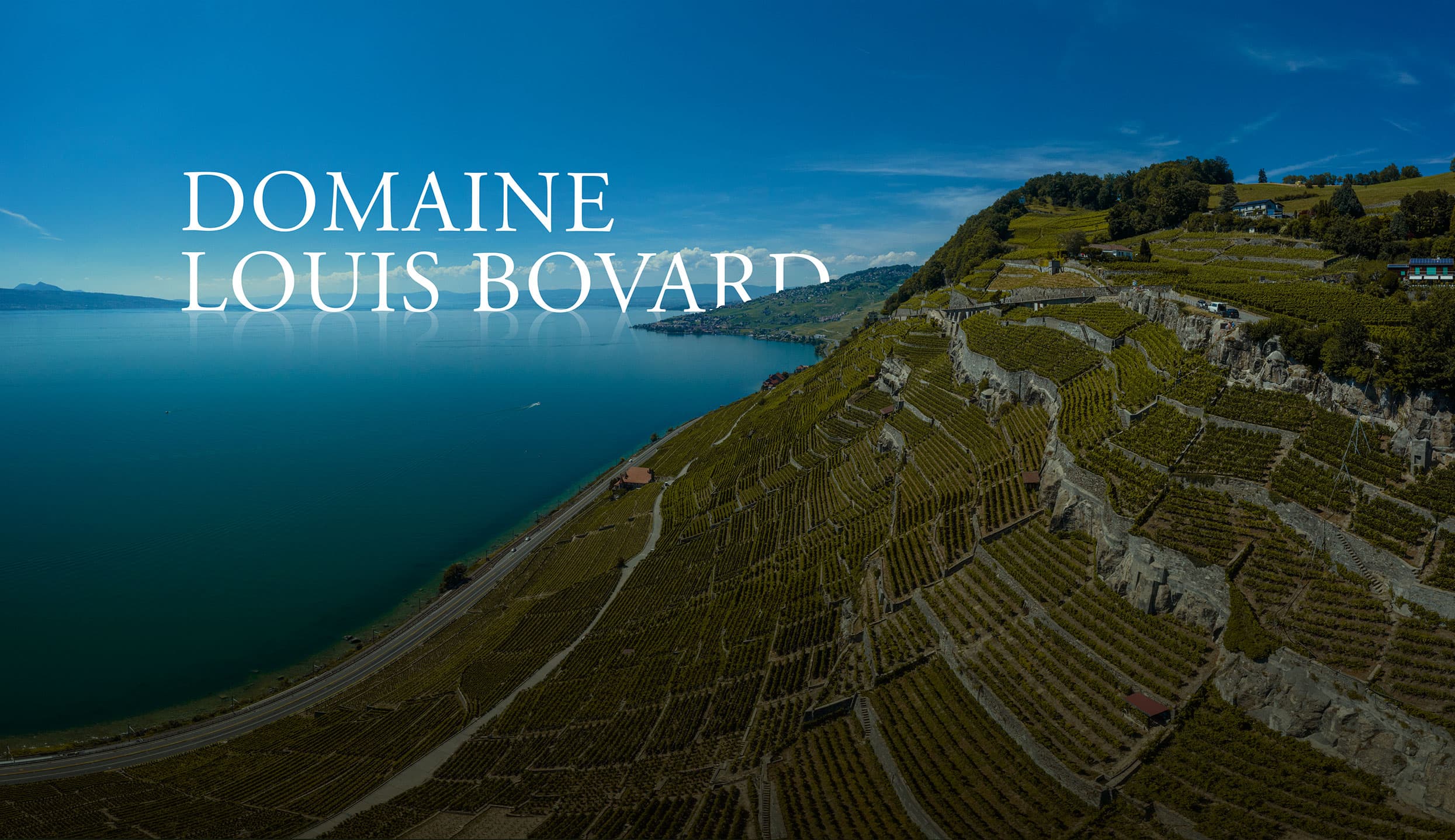 Domaine Louis Bovard